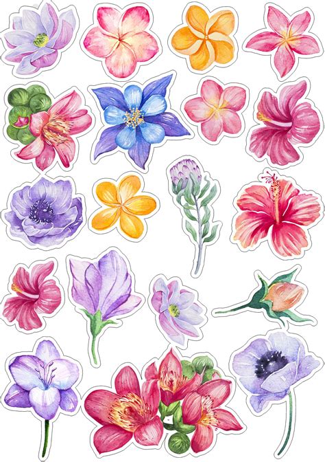 imagenes gratis flores|flores imagenes para imprimir.